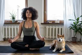 Pet friendly Rehab